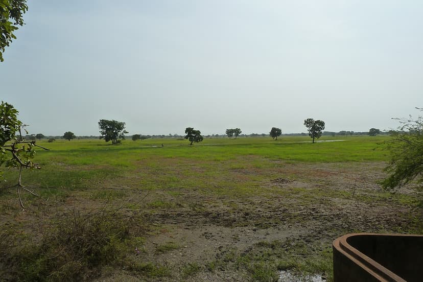 Riziculture de bas-fonds dans le cercle de Sikasso, Mali